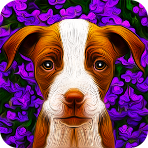 Dogistry logo