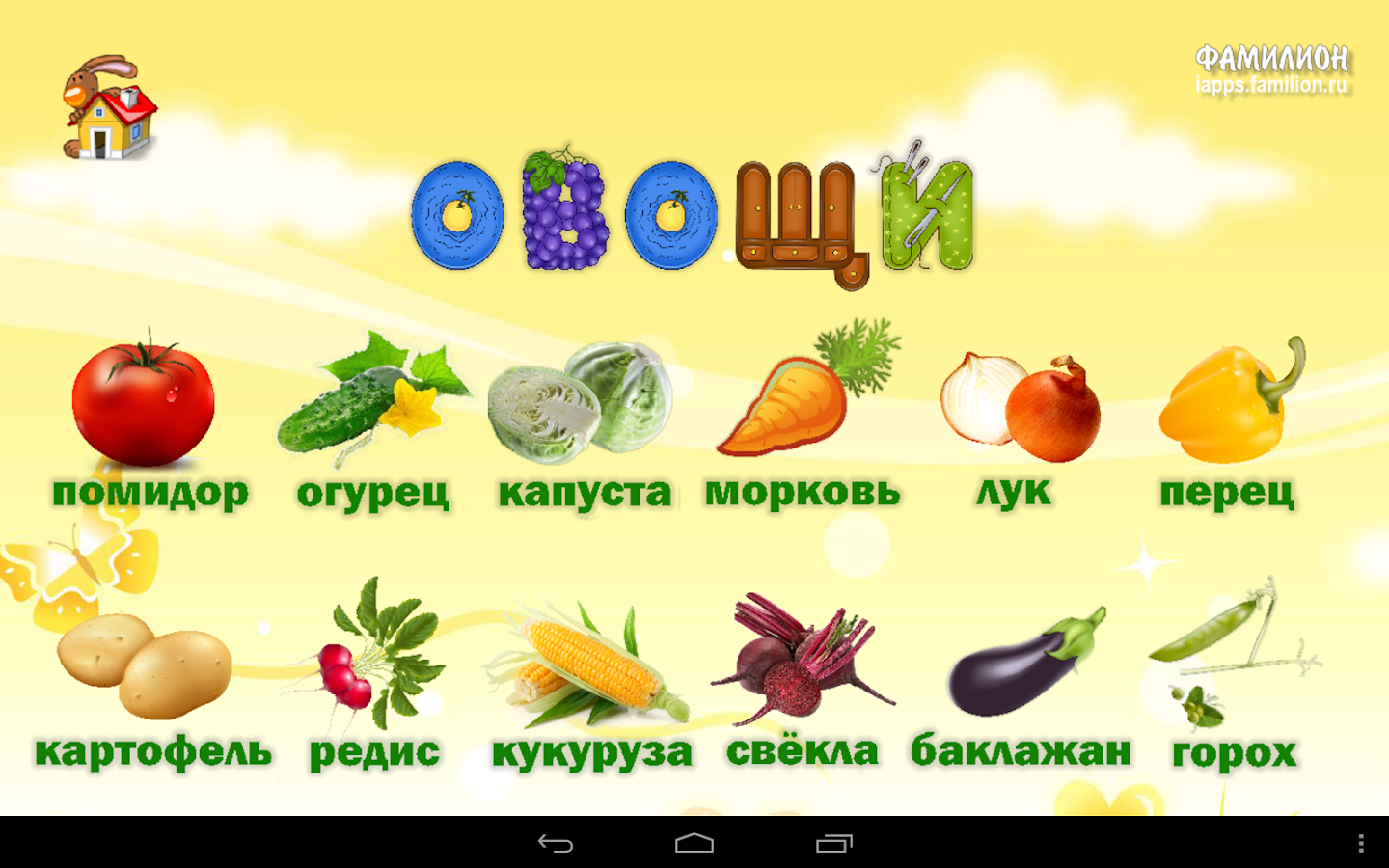Название овощей и фруктов