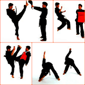 Taekwondo Training Program