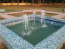 Fountain In Park