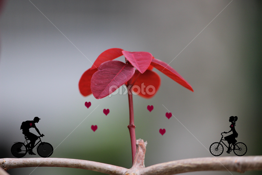 Love in the Air by Arjun Madhav - Digital Art Things