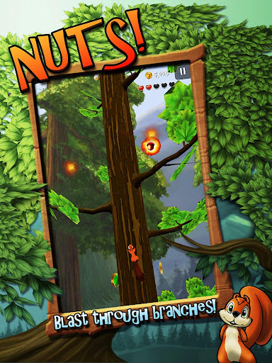 Nuts!: Infinite Forest Run (Mod Coins) 