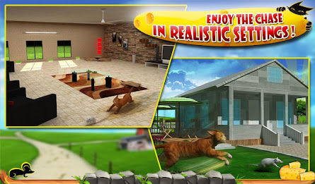 Crazy Cat vs. Mouse 3D poster 15