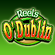 Reels O Dublin HD Slot Machine icon