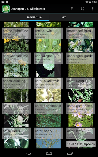 免費下載生活APP|Okanogan Co. Wildflowers app開箱文|APP開箱王