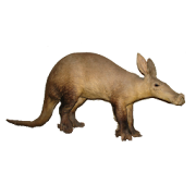 Aardvark Vs Ant Lite  Icon