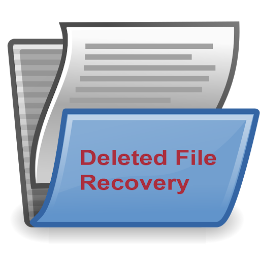 Deleted File Recovery