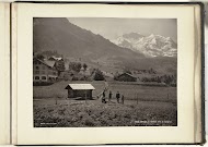 Vijf mensen in een veld bij Wengen