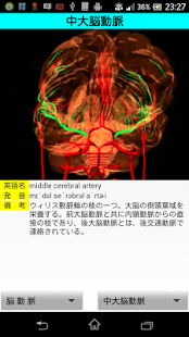 3D解剖学(圖6)-速報App