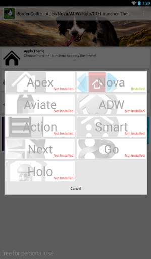 免費下載個人化APP|Border Collie Theme - Nova/ADW app開箱文|APP開箱王