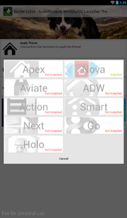 Lastest Border Collie Theme - Nova/ADW APK for Android