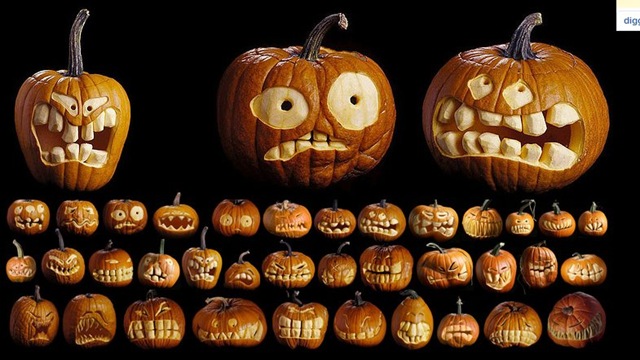 [pumpkins[4].jpg]