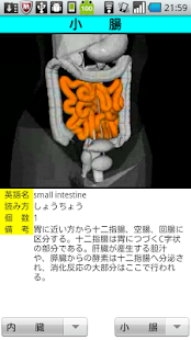 3D解剖学(圖5)-速報App