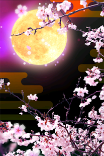 Cherry Blossoms at Night