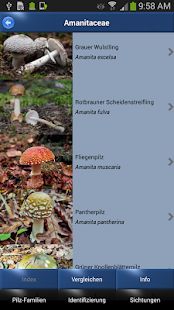 Pilz Id, Die Pilze Sammeln App(圖2)-速報App