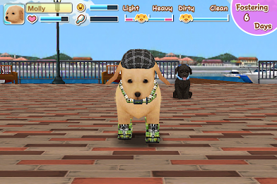 My Dog My Room 2 poster 6