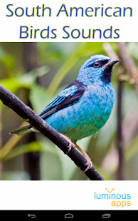 South American Birds Sounds Screenshots 8