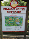 Kid's Farm