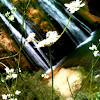 Waterfall to Flower