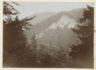 Gezicht op een bosrijk gebied tegen een berghelling in de Harz