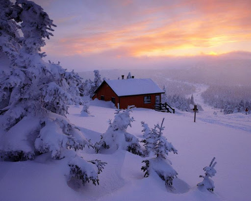 Fondos de Invierno