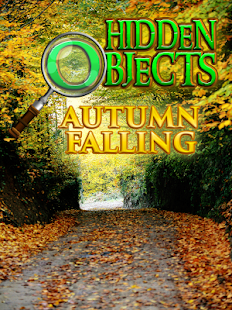 Hidden Objects Autumn Falling