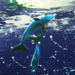 Dolphin RYUKYU Techno Free Apk