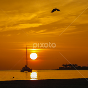 The morning fire by Sandun Lakmal - Landscapes Sunsets & Sunrises
