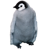 Emperor Penguin Sticker