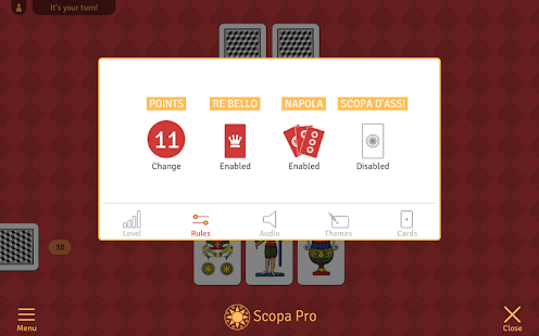 Scopa Pro banner