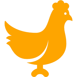 Best Chicken Recipes.apk 1.0.0