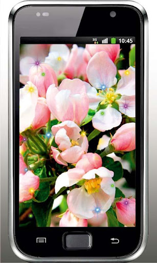 Apple Blossoms live wallpaper