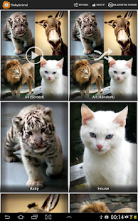 Animal Sound for Kids(圖5)-速報App
