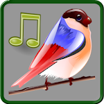 Cover Image of Download Birds Sounds Relax and Sleep 1.06 APK