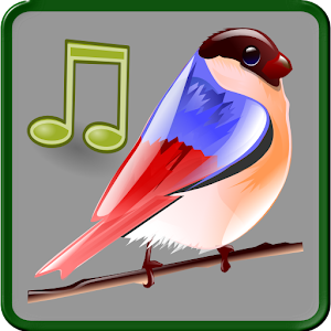 Birds Sounds Relax and Sleep logo