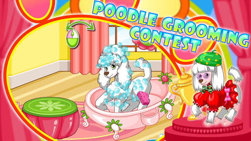 【免費模擬App】Poodle Beauty Contest-APP點子