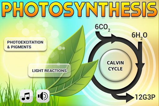 Biology Photosynthesis L