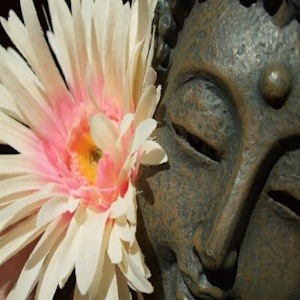 At leve mindfuldt.apk 1.44.106.296