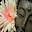 At leve mindfuldt Download on Windows