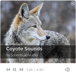 Coyote Sounds by SoundsLabStudio - Latest version for Android