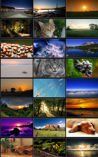 【免費攝影App】HD Wallpaper Part 1-APP點子