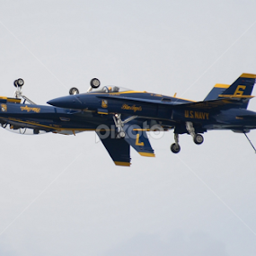 Blue Angels by Nick Cancilliere - Transportation Airplanes