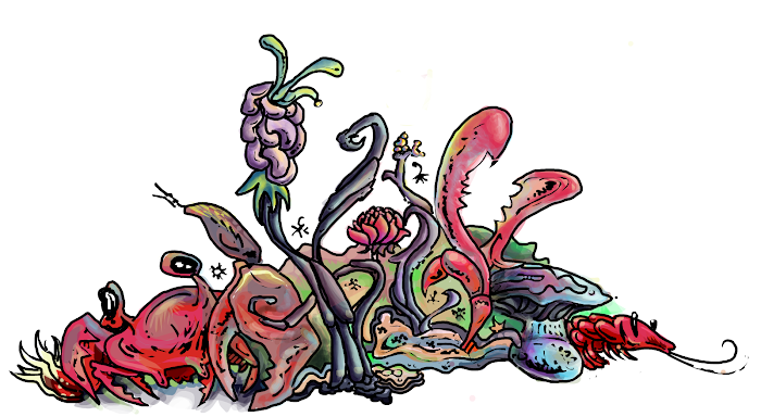 Rejected Color Scheme Party
