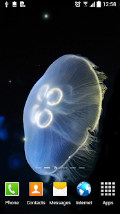 Jellyfish Live Wallpaper(圖3)-速報App