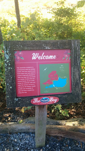 Welcome to the Cranberry Bog