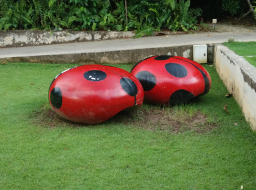 Giant Red Shells