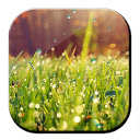 Galaxy S4 Rain n Grass LWP mobile app icon