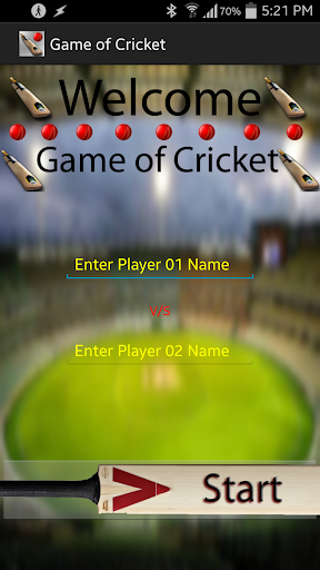 Game of Cricket