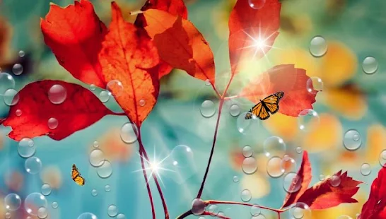 Red Leaf for Galaxy S4(圖5)-速報App
