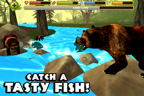 Wildlife Simulator: Bear(圖2)-速報App